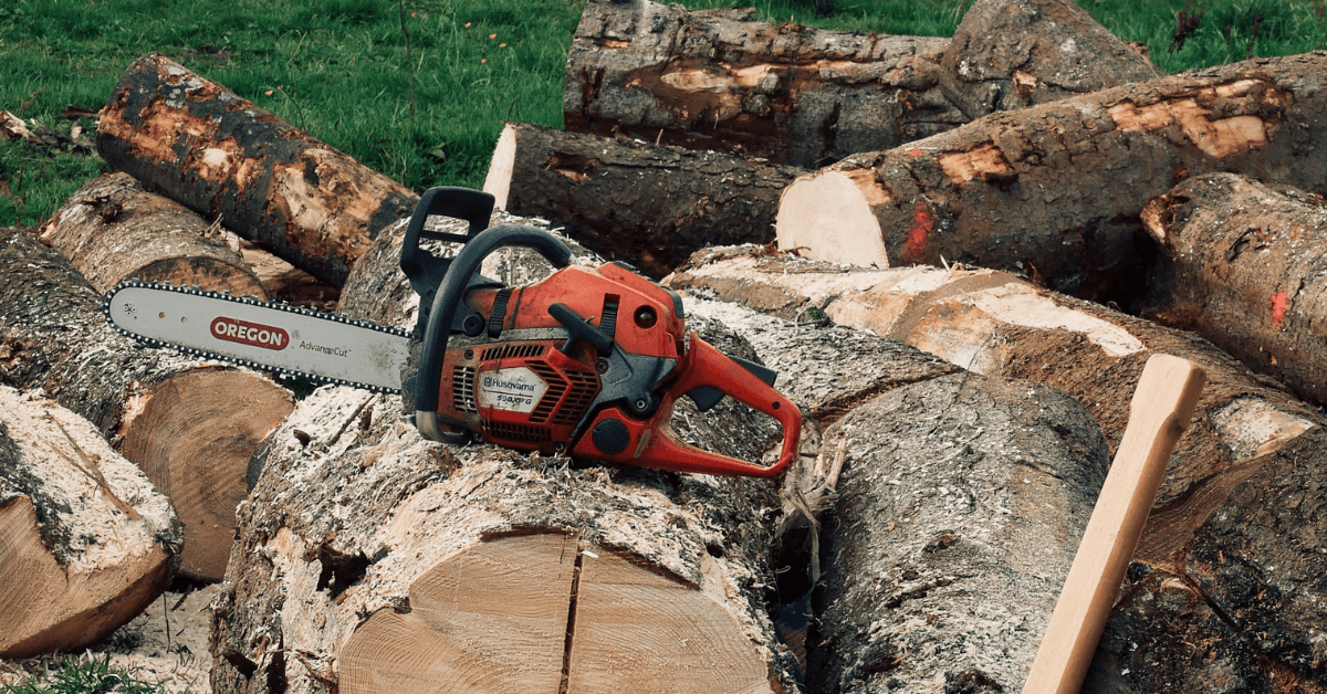 Tree removal cost factors in Union County, NJ