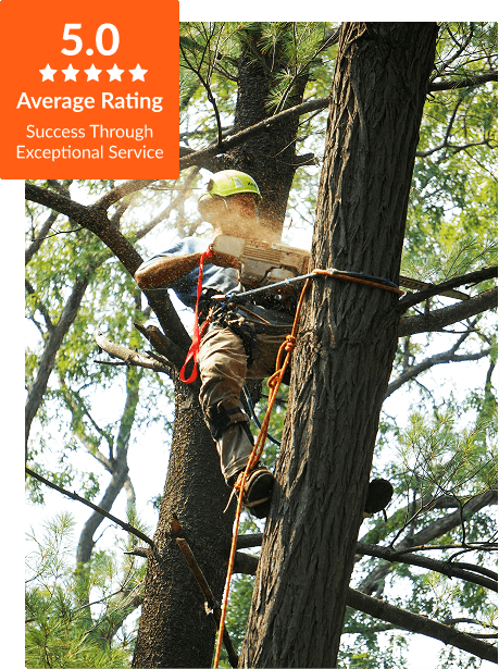 Commercial Tree Service