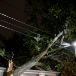 Emergency tree crew removing a storm-damaged tree leaning over a Newark home near power lines at night