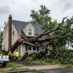 Fallen oak tree resting on a residential roof in Union, NJ, after a major storm.