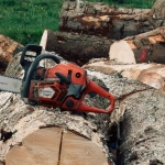 Tree removal cost factors in Union County, NJ