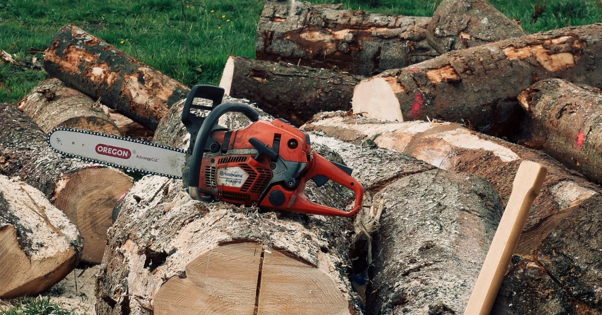 Tree removal cost factors in Union County, NJ