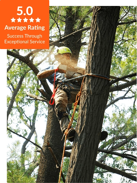 Commercial Tree Service