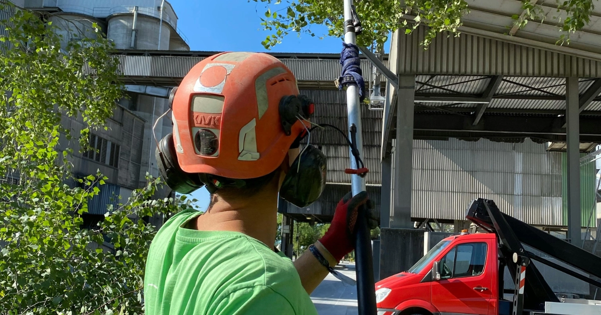 Professional tree trimming services in Union County, NJ