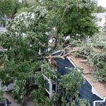 Fallen storm damaged tree on a house in Union County, NJ.