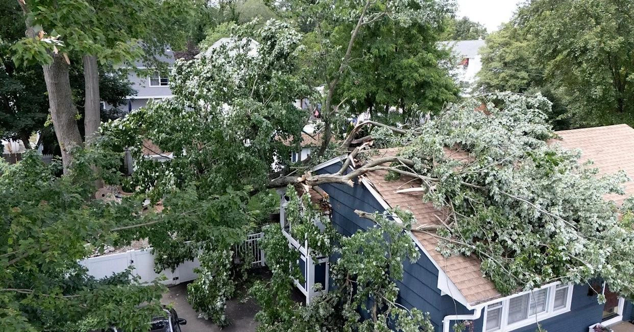 Fallen storm damaged tree on a house in Union County, NJ.