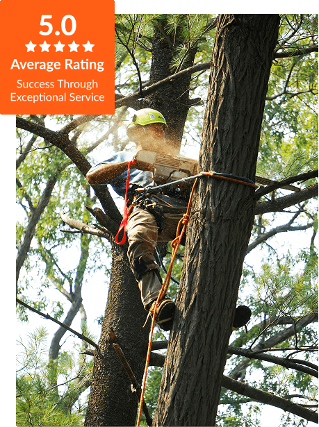 Commercial Tree Service